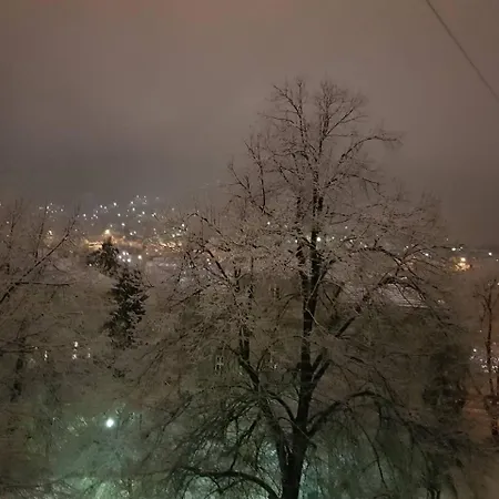 Sophies World Apartment *