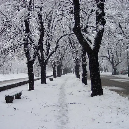 Sophies World Apartment Sarajevo